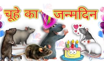 चूहे का जन्मदिन, कहानी