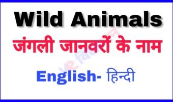 जंगली जानवरों के नाम अंग्रेजी और हिन्दी में Name of Wild Animals in English and Hindi