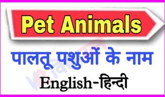 पालतू पशुओं के नाम अंग्रेजी और हिन्दी में Name of Pet Animals in English and Hindi