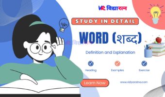 Understanding Words in English Grammar: Definition, Examples, and Exercises