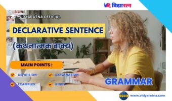 Declarative Sentences or Assertive Sentence (कथनात्मक वाक्य) in Hindi and English